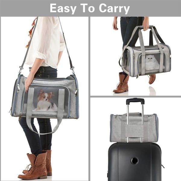 ROAMUTT soft-sided pet travel carrier – large foldable carrier