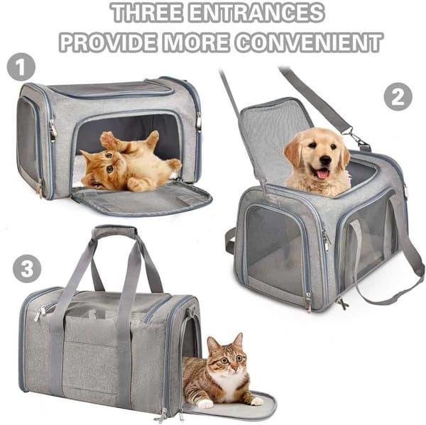 ROAMUTT soft-sided pet travel carrier – large foldable carrier